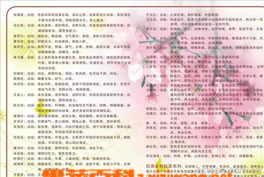 果蔬百科花茶的功效与作用-0