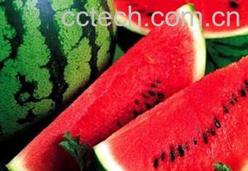 果蔬百科吃西瓜中毒 如何识别毒西瓜-0