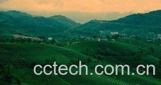 果蔬百科普洱茶的功效与作用-0