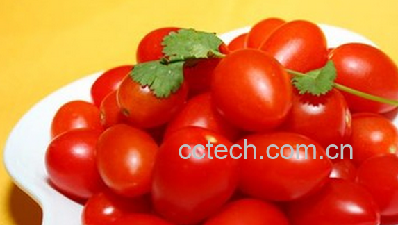 果蔬百科孕妇能吃圣女果吗-0