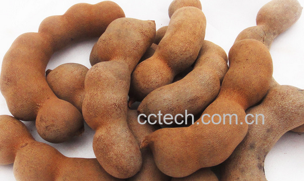 果蔬百科酸角的功效与作用-0