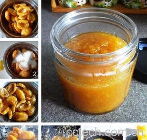 果蔬百科如何做枇杷膏-0