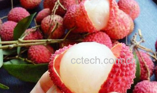 果蔬百科荔枝吃多了怎么办-0