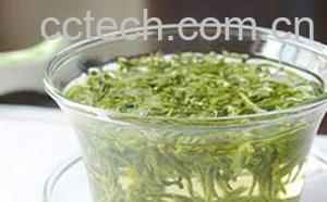 果蔬百科绞股蓝泡水喝的功效-0