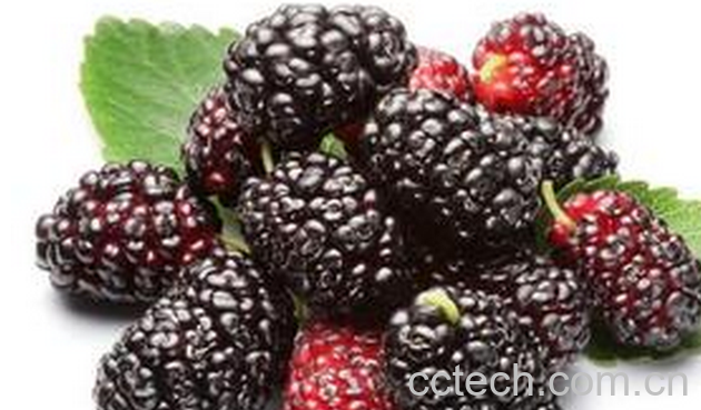 果蔬百科痛经吃什么水果好-0