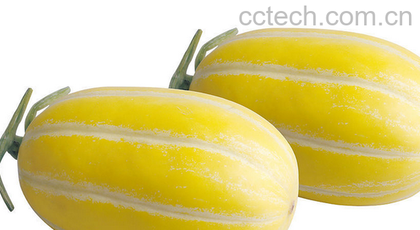 果蔬百科香瓜的药用偏方-0