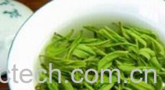 果蔬百科毛尖-0