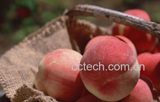 果蔬百科桃子的营养价值有哪些-0