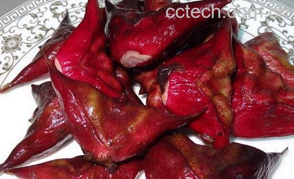 果蔬百科菱角的食疗功效-0