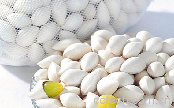 果蔬百科白果的营养价值与功效-0