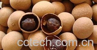 果蔬百科孕妇可以吃桂圆吗-0