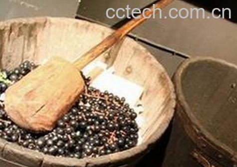 果蔬百科自酿葡萄酒变质鉴别-0