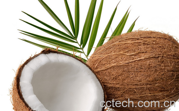 果蔬百科椰子的营养价值与功效-0