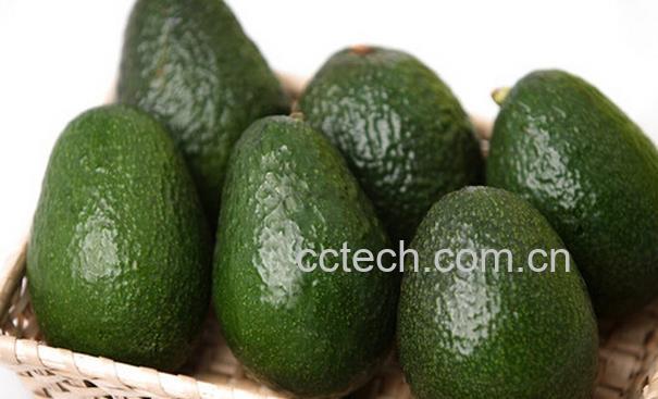 果蔬百科牛油果的营养价值与吃法-0