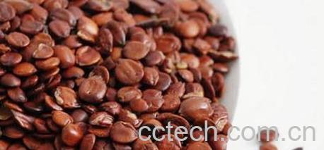 果蔬百科酸枣仁图片 酸枣仁的功效与作用-0