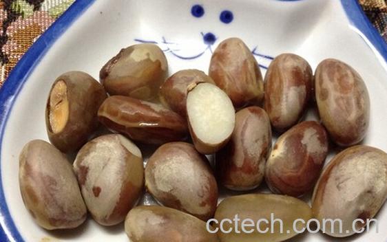 果蔬百科菠萝蜜籽剔骨肉汤怎么做-0