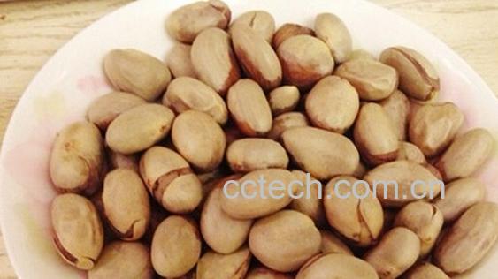 果蔬百科菠萝蜜籽能吃吗-0