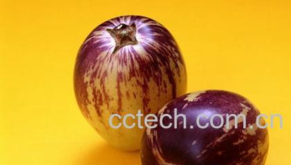 果蔬百科人参果皮有什么药用价值-0