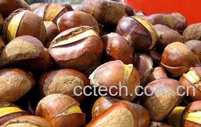 果蔬百科板栗和什么不能一起吃-0