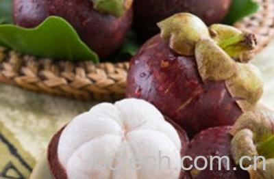 果蔬百科孕妇可以吃山竹吗-0