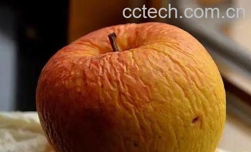 果蔬百科怎样判断苹果变质-0