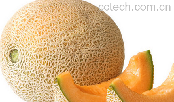 果蔬百科哈蜜瓜的营养价值与功效-0