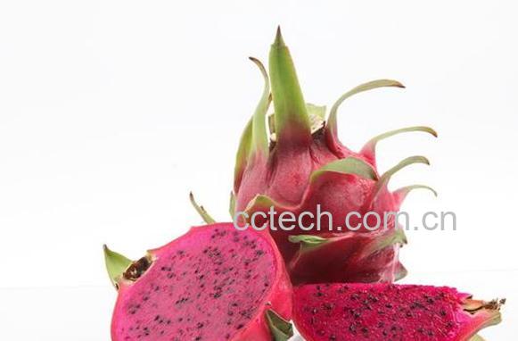 果蔬百科火龙果的热量高吗 一个火龙果的热量-0