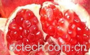 果蔬百科石榴内皮的功效与作用-0