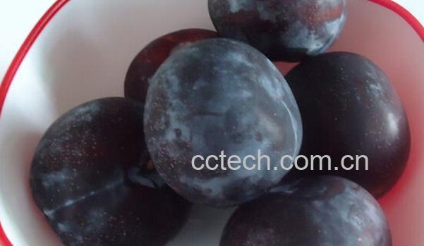 果蔬百科黑布林的功效与食用禁忌-0