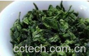 果蔬百科铁观音的营养与医用功效与作用-0