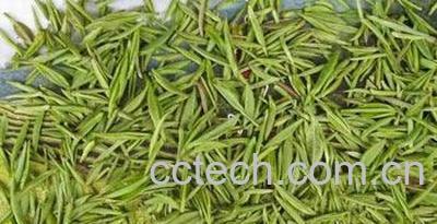 果蔬百科 信阳毛尖属于什么茶 信阳毛尖如何泡-0