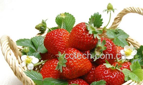 果蔬百科吃草莓的好处-0