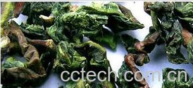 果蔬百科乌龙茶哪些 乌龙茶的种类-0