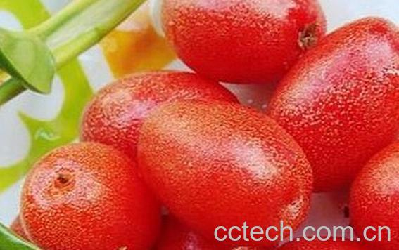 果蔬百科羊奶果的功效与作用-0