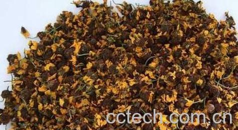 果蔬百科 雪菊茶的功效与作用-0