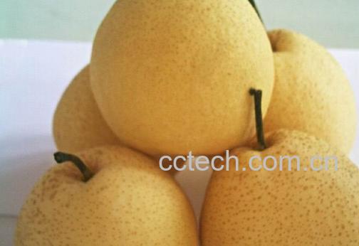 果蔬百科梨子皮能吃吗-0