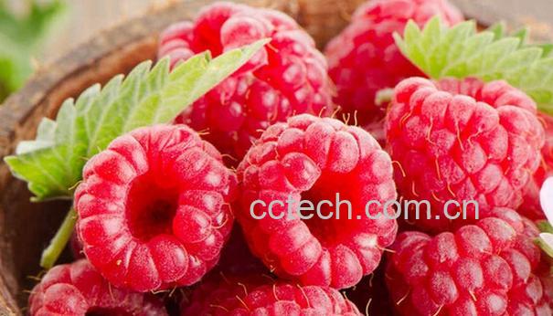 果蔬百科树莓的功效与作用-0