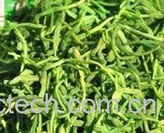 果蔬百科金银花茶的功效与作用-0