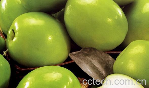 果蔬百科贵妃枣的功效与作用-0