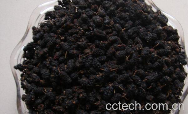 果蔬百科桑葚干怎么吃-0