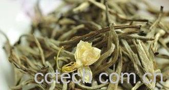 果蔬百科茉莉花茶的功效-0