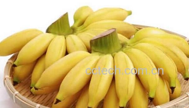 果蔬百科皇帝蕉的功效与作用-0