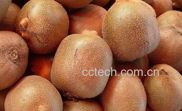 果蔬百科吃猕猴桃的好处-0