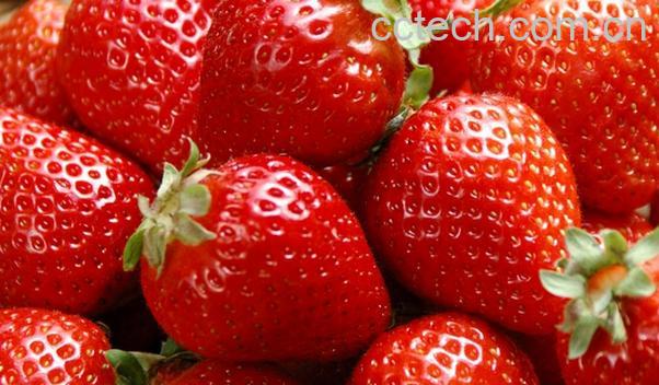 果蔬百科孕妇吃草莓的好处-0