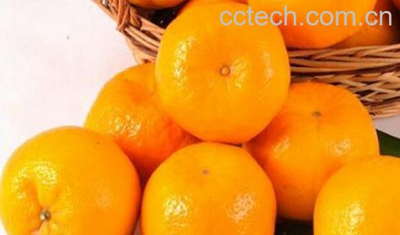 果蔬百科芦柑的营养价值与食疗功效-0