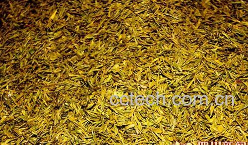 果蔬百科白茶是什么茶-0