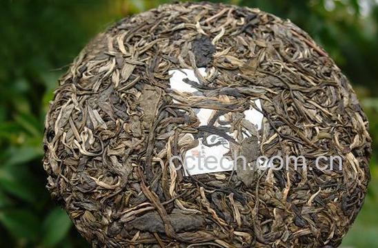 果蔬百科白茶是什么茶-0