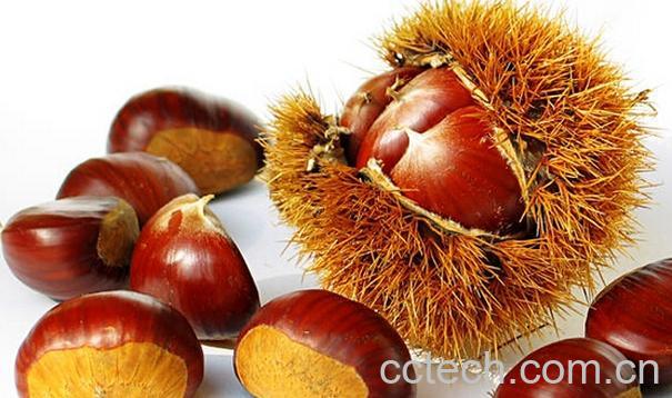 果蔬百科生吃板栗的六大好处-0