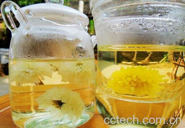 果蔬百科菊花茶-0