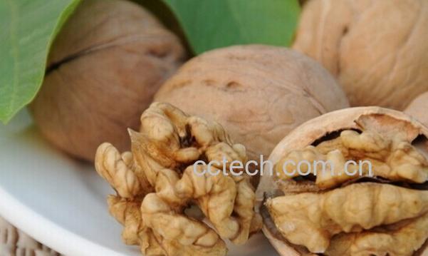 果蔬百科吃核桃会发胖吗-0